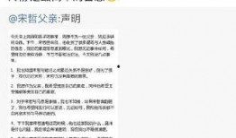 本地新闻热点爆料有哪些,聚焦最新民生动态与社区焦点